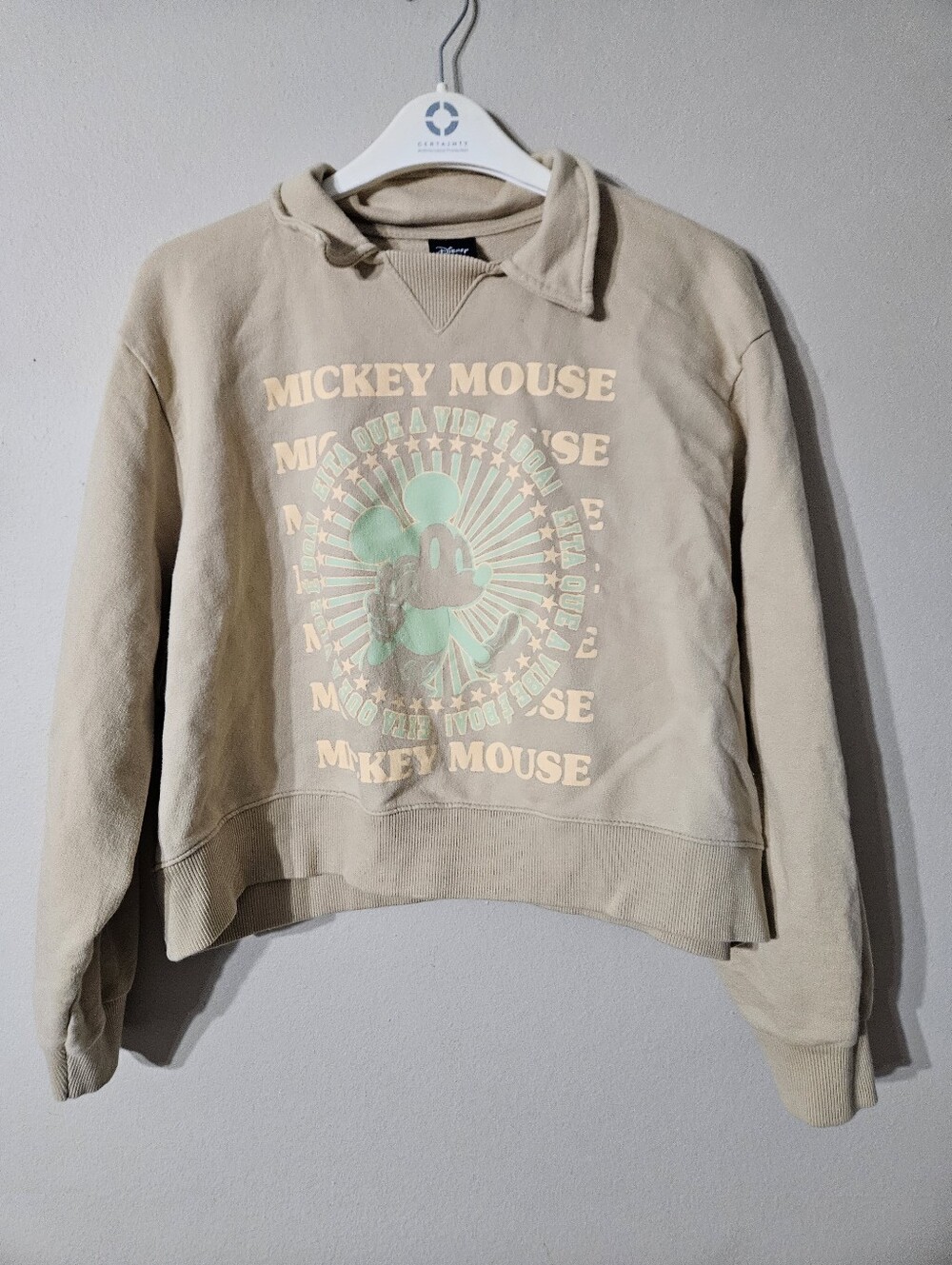 Disney Cropped Sweatshirt Large